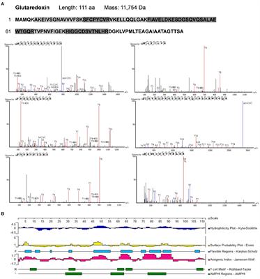 A Combined Proteomic and Metabolomic Strategy for Allergens Characterization in Natural and Fermented Brassica napus Bee Pollen